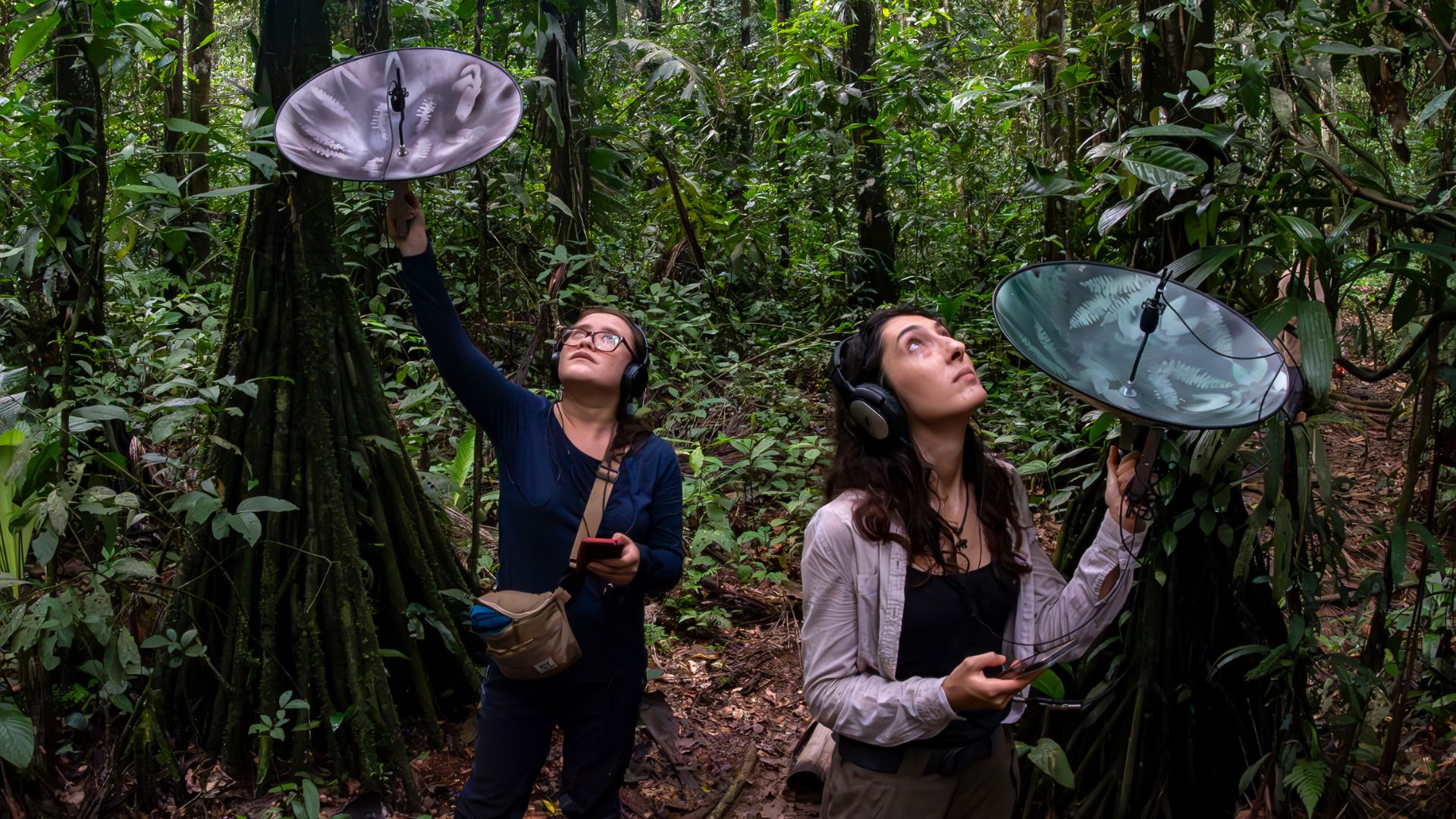 8 PRIMATES RECORDING SOUNDS IN TAMBOPATA