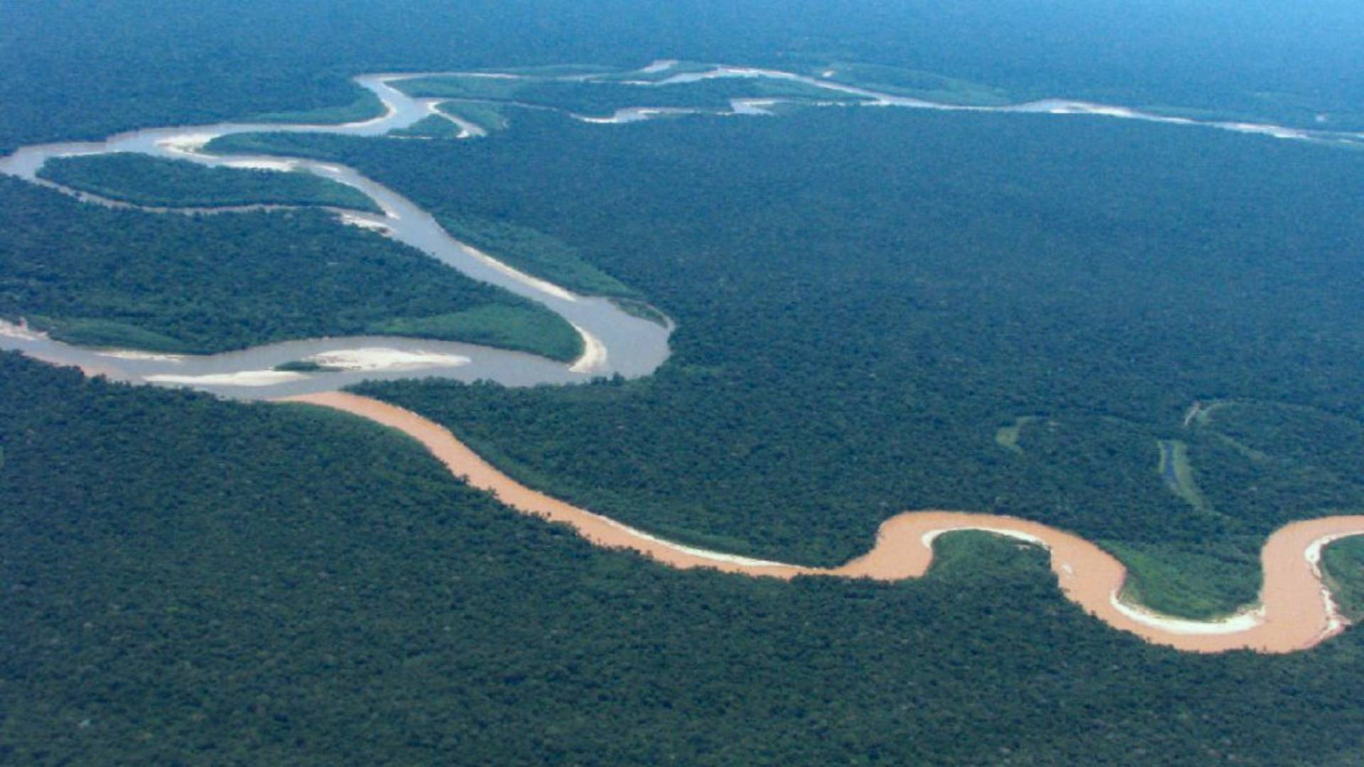 Meandering rivers in the Amazon basin are the _conductors_ of the Succession Rhapsody