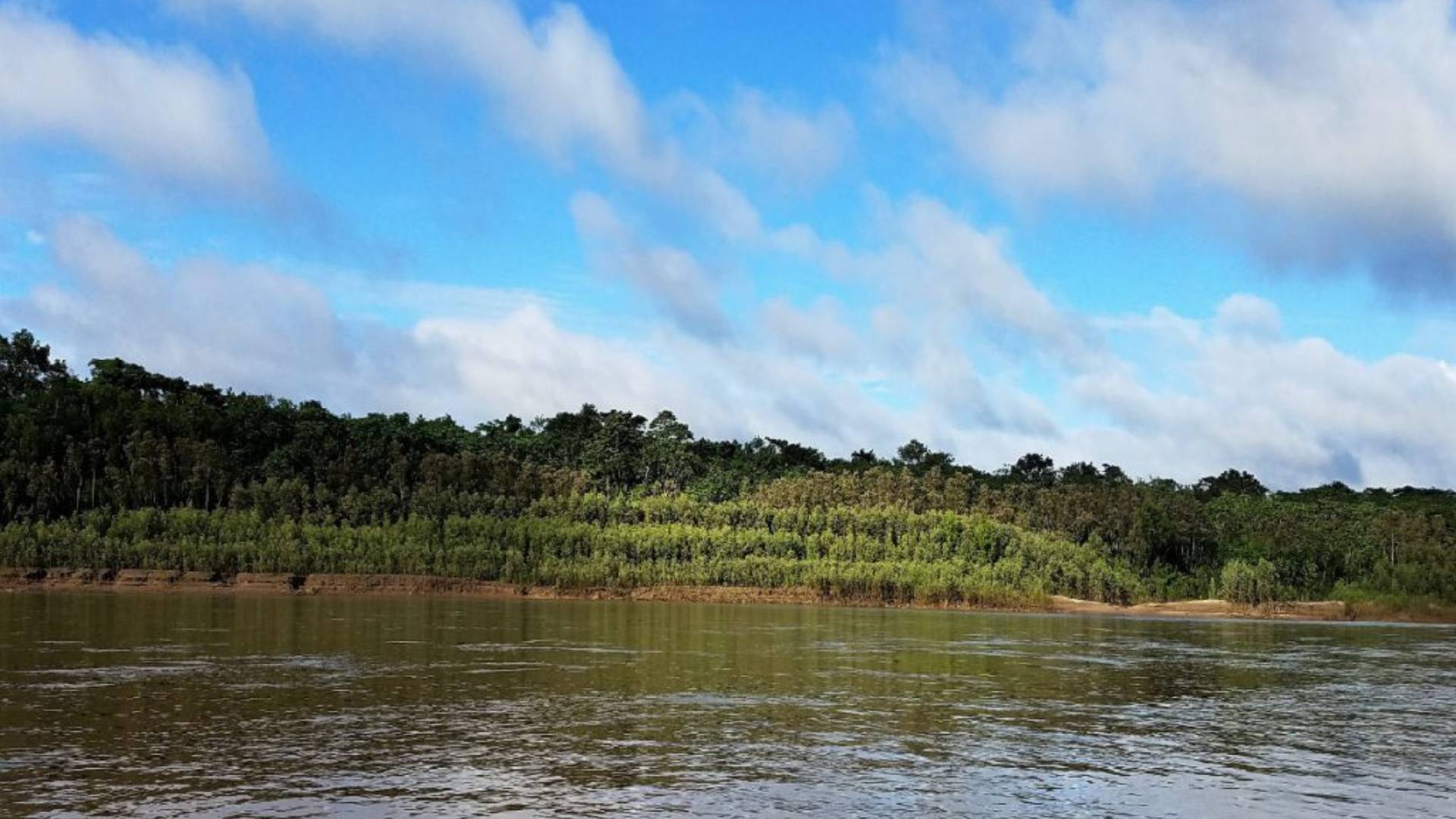 Tambopata river trip by Varum Swamy