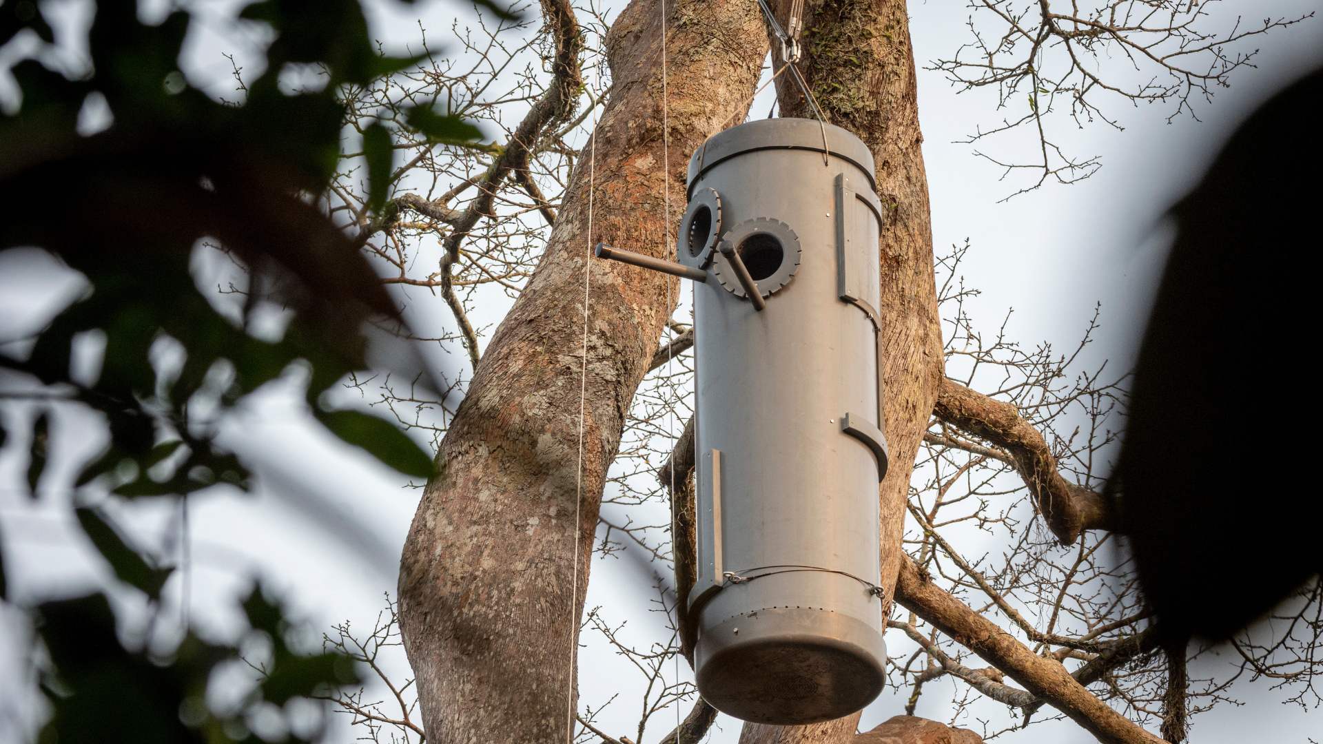 New design of Artificial Nest hanged by Juan Diego Shoobridge