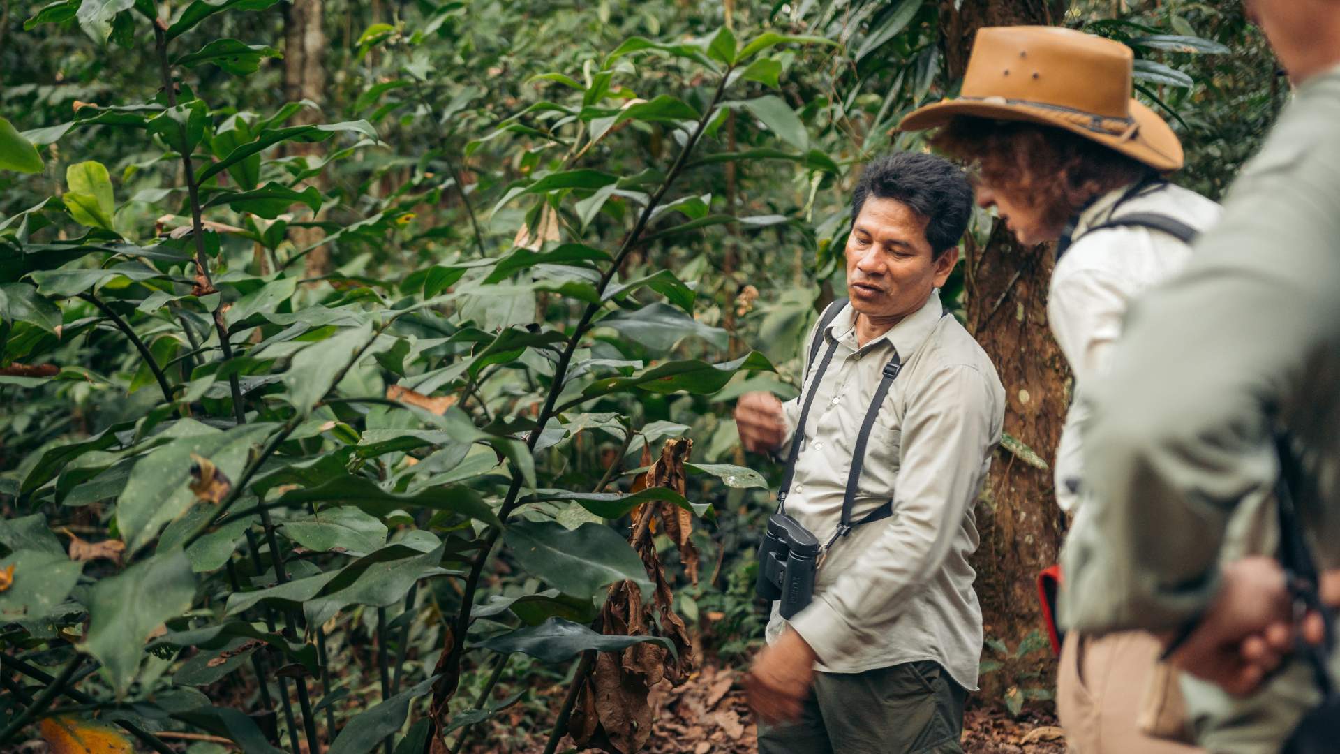 Rodolfo, member of the native community ese eja guiding guests at posada amazonas by carlos gonzales