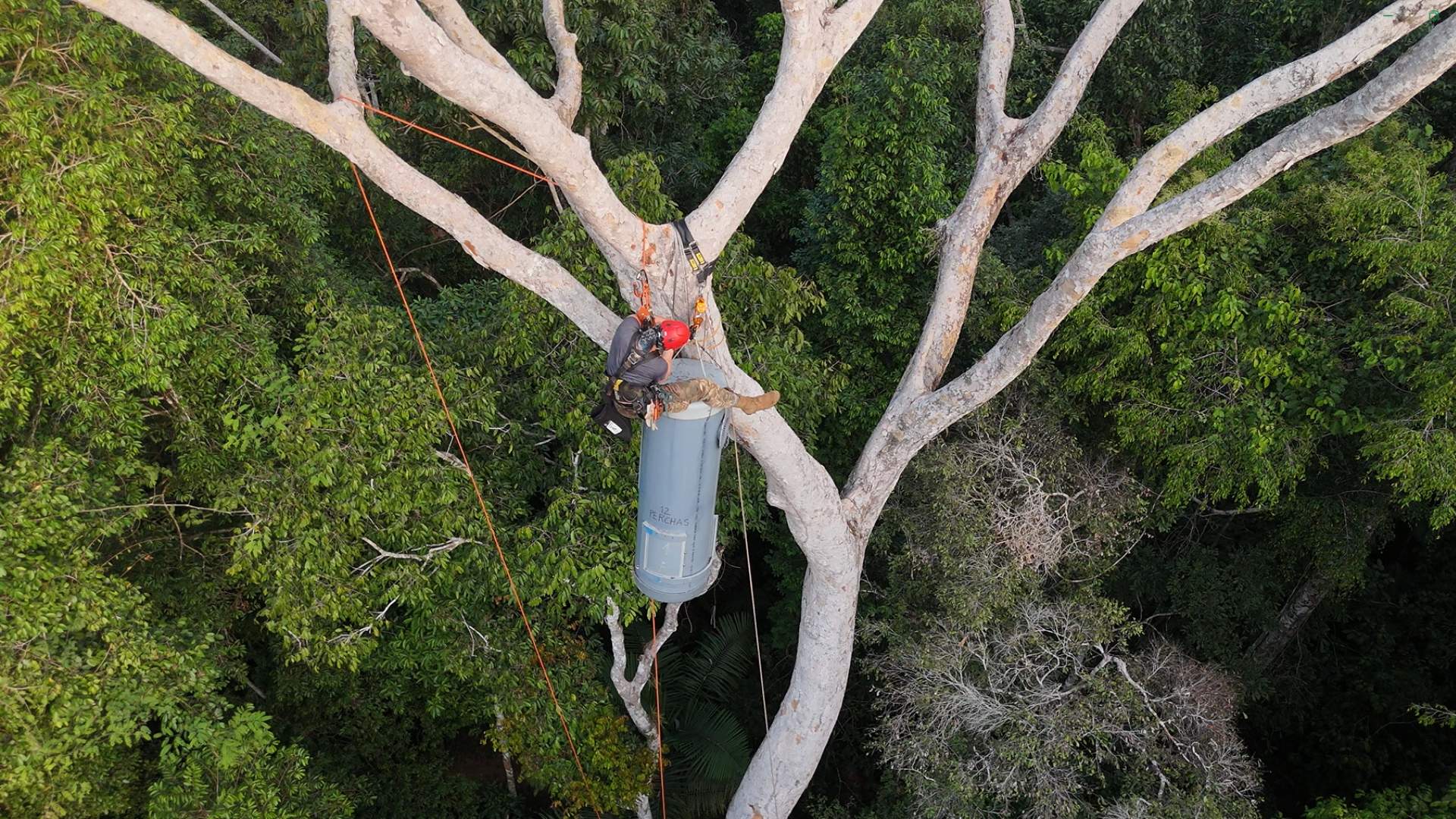 Hugo instaling an Artificial macaw nest at ARA